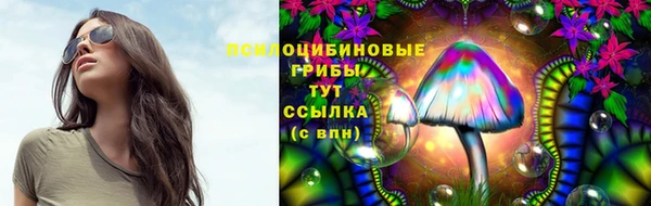 PSILOCYBIN Волоколамск