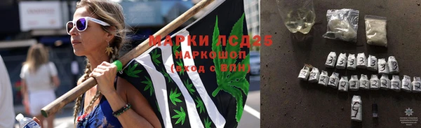 PSILOCYBIN Волоколамск
