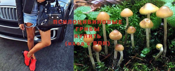 PSILOCYBIN Волоколамск