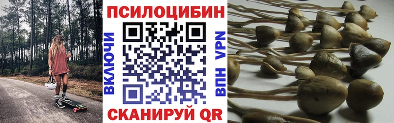 Галлюциногенные грибы GOLDEN TEACHER  это состав  Воткинск 